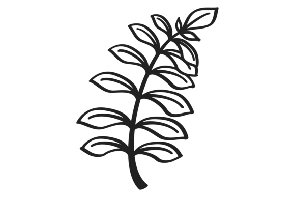 Decorative Branch Graphics: Classic Floral Illustrations