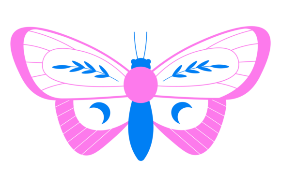 Decorative Butterfly. Cute Night Moth Co Graphics & Illustrations
