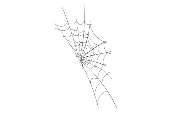 Decorative Spider Web. Arachnid Net Blac